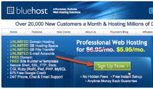 Bluehost Web Hosting截图8