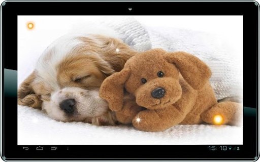 Hello my Puppy Live Wallpaper截图1