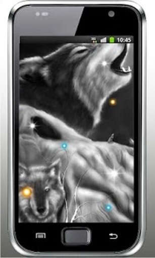 Wolf Voice HD live wallpaper截图1