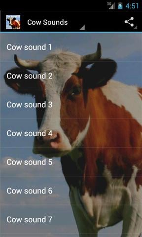 牛的声音 Cow Sounds截图1