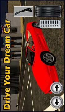 Taxi Driver Mania 3D Simulator截图