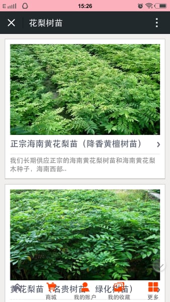 黄花梨网截图2