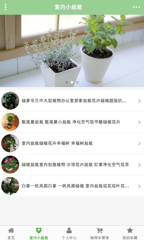 园艺绿化花木盆栽截图3