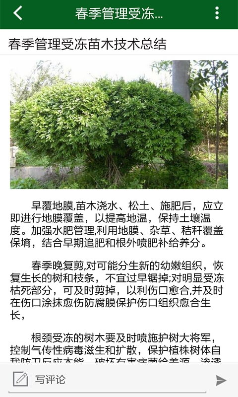 苗木花卉网截图4