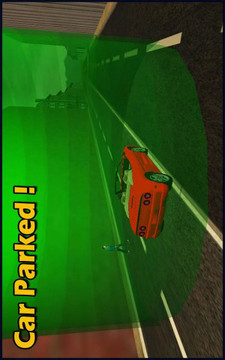 Taxi Driver Mania 3D Simulator截图