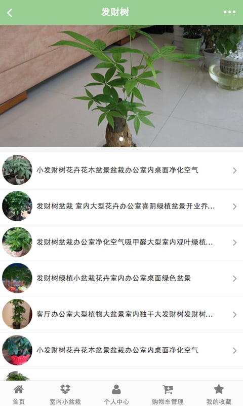 园艺绿化花木盆栽截图2