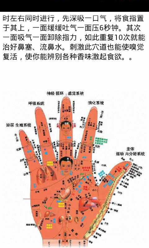 常见病穴位按摩截图3