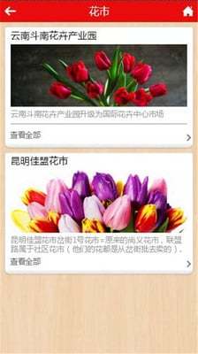 云南花卉市场截图1
