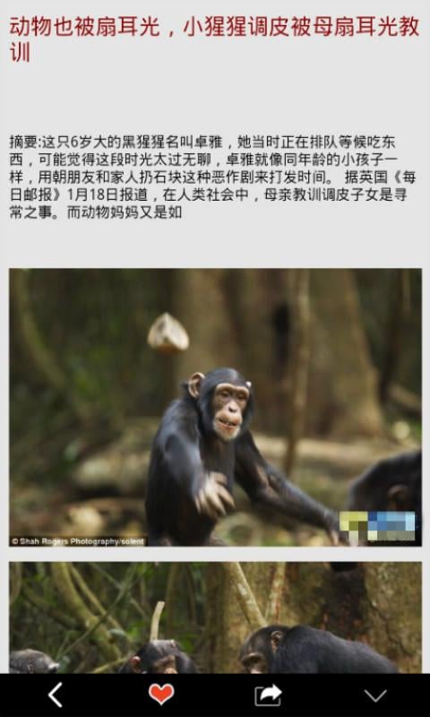 奇妙的生物世界截图3