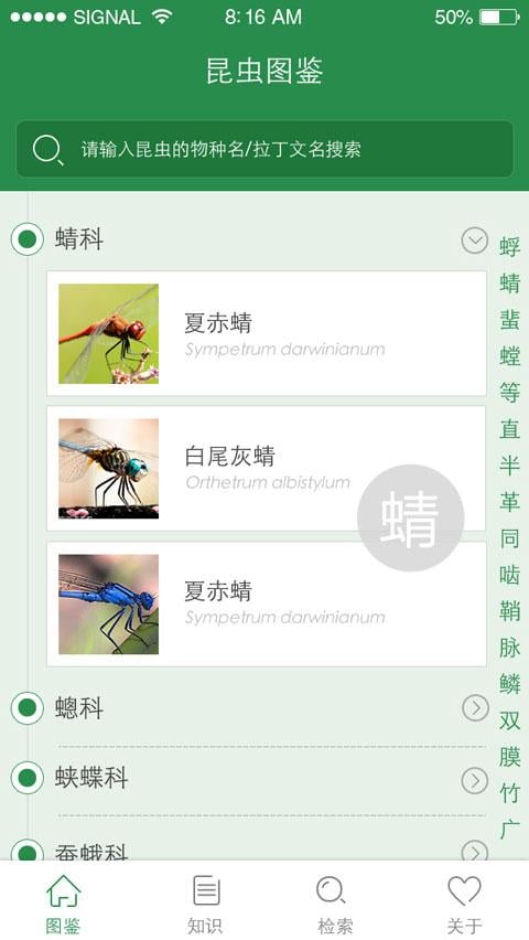 上海昆虫截图3