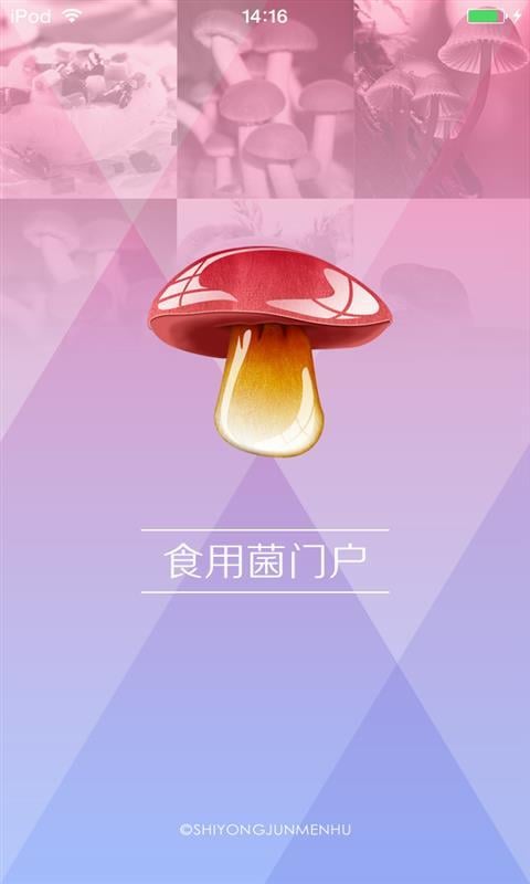 食用菌门户截图3