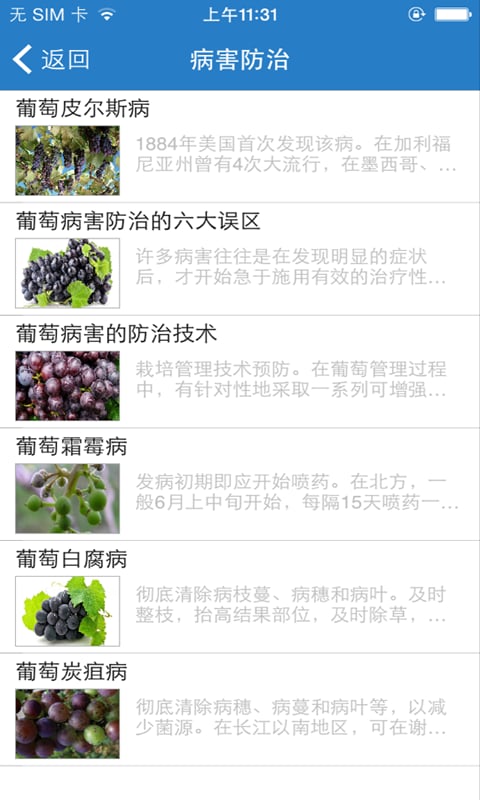 葡萄产业截图1