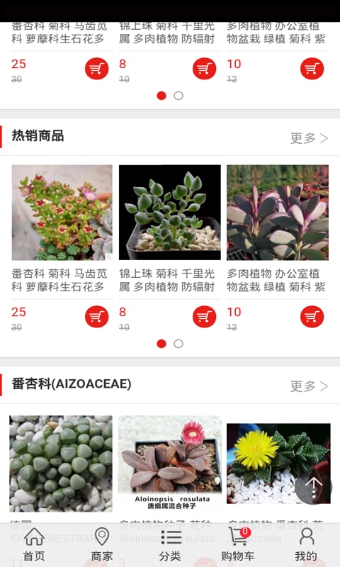 多肉植物截图2