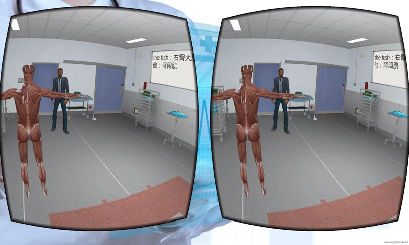 Anatomy VR Lab Lite截图3