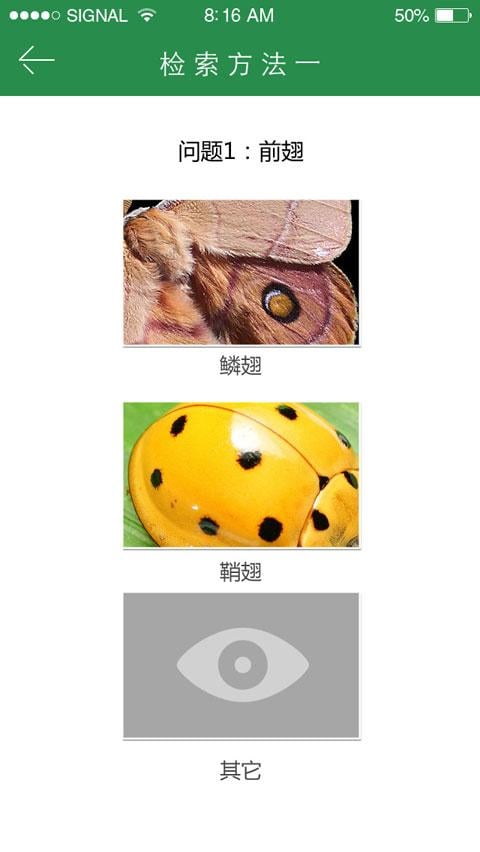 上海昆虫截图2
