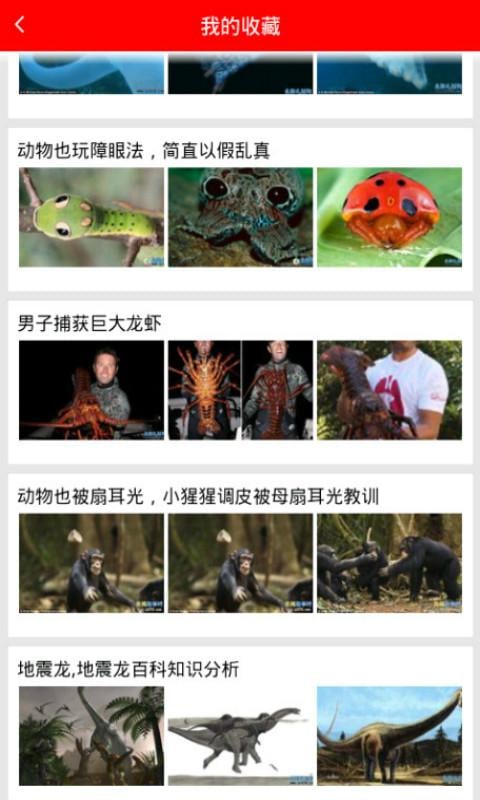 奇妙的生物世界截图4