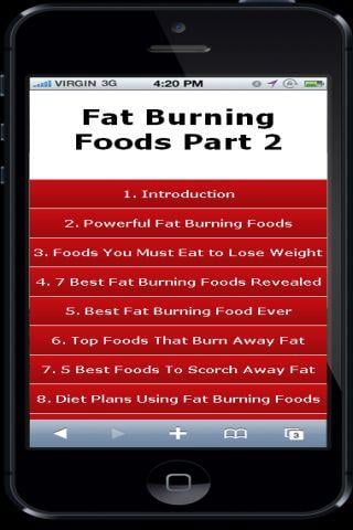 第2部分燃烧脂肪的食物截图2