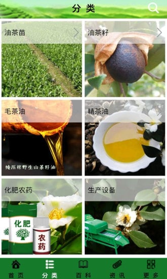 茶油截图4