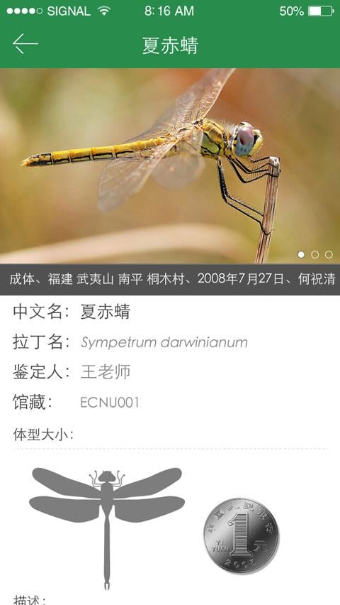 上海昆虫截图4