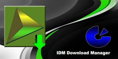 IDM Download Manager截图5