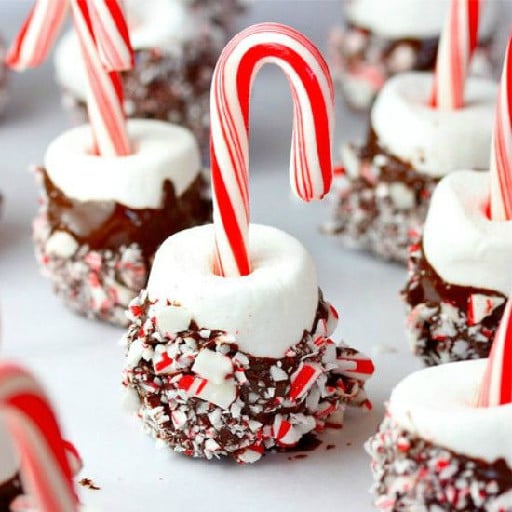 Christmas Candy Recipes截图1