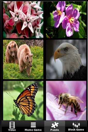 Plants vs. Wild Animals截图5