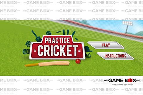 Practice Cricket截图1