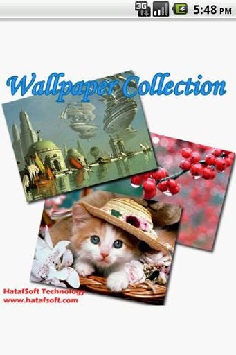 Wallpaper Collection Free截图4