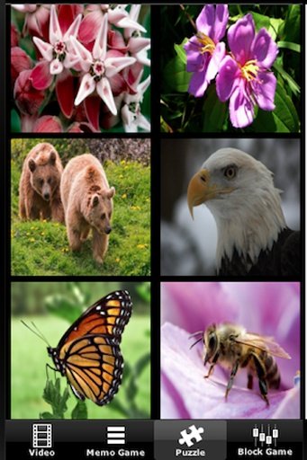 Plants vs. Wild Animals截图4