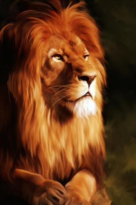 Lion Live Wallpaper HD截图3