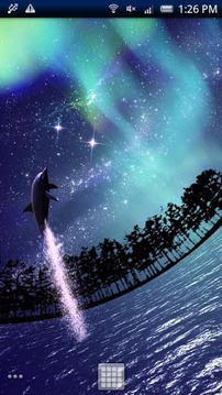 Dolphin Star Trial截图