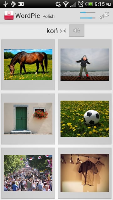 Learn Polish with WordPic截图3