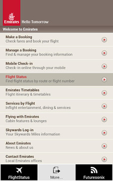 Emirates Flight Status截图