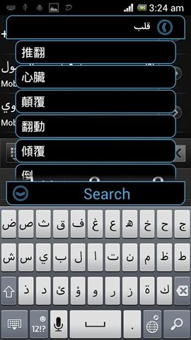 字典上运行 Dictionary On The Run截图3