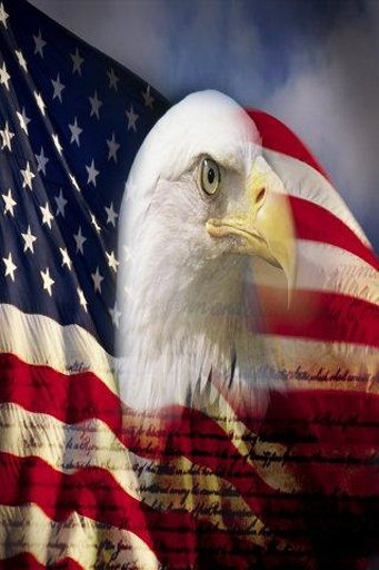 USA Eagle Live Wallpaper截图2