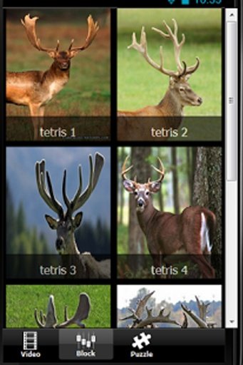 Deer Skill Hunter 2014截图5