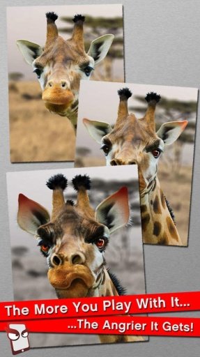 Angry Giraffe Free!截图3