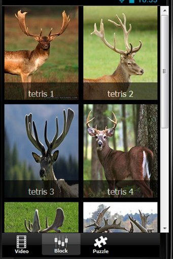 Deer Skill Hunter 2014截图1