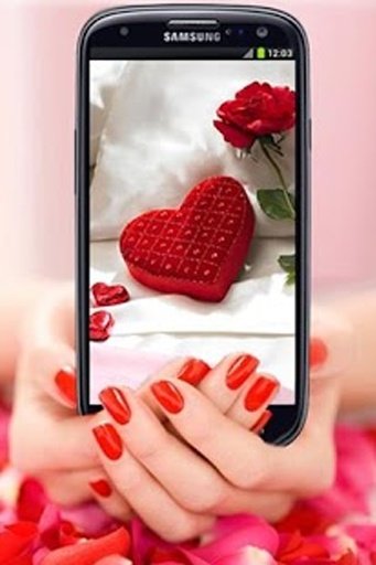 Valentines Day Wallpapers HD截图10