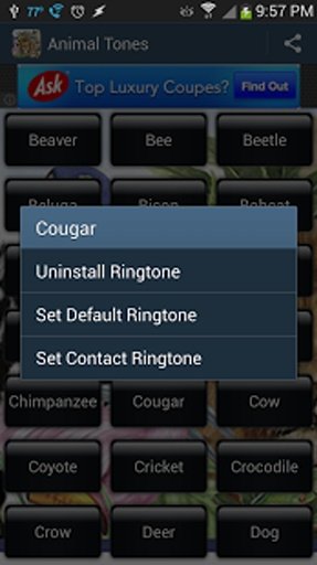 Animal Ringtone Sounds Free截图5