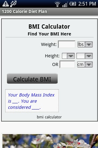 1200 Calorie Diet Plan截图6