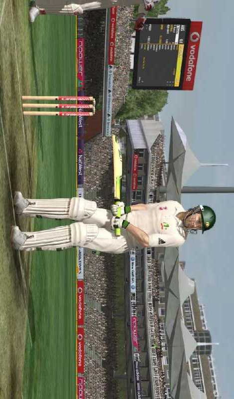 cricket2013截图2