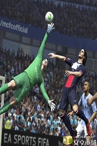 FIFA 14 Secrets截图4