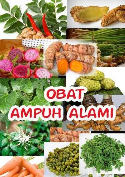 Obat Ampuh Alami截图5