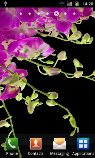 Orchids In Night VII截图2