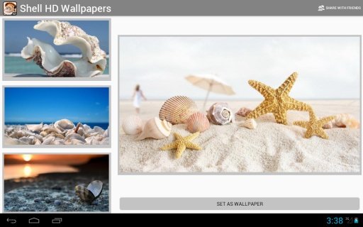 Beautiful Shell HD Wallpapers截图4