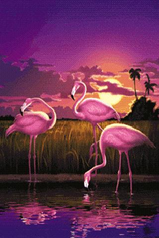 Evening Swans Live Wallpaper截图1