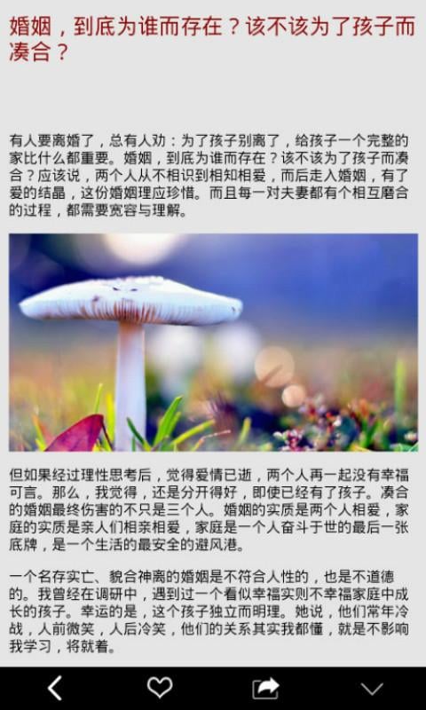 美言碧潭截图1