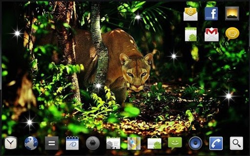 Savanna Lion HD live wallpaper截图3