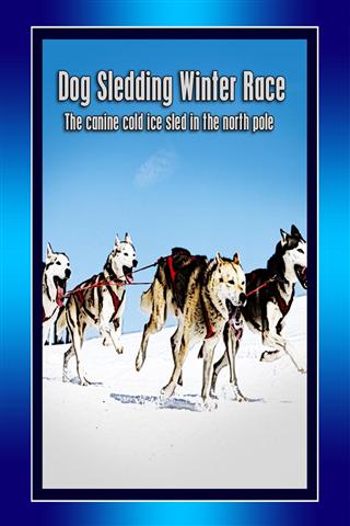 狗拉雪橇冬季赛 Dog Sledding Winter Race截图4